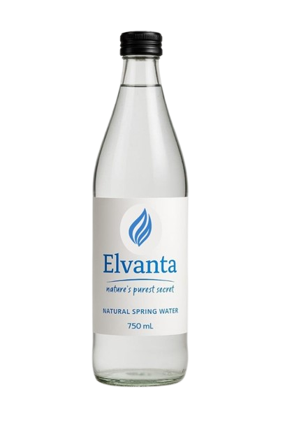 "Elvanta Group founders with natural water source in background"